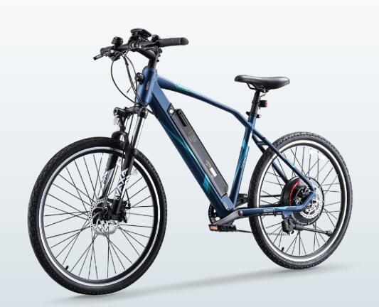 Electric bike