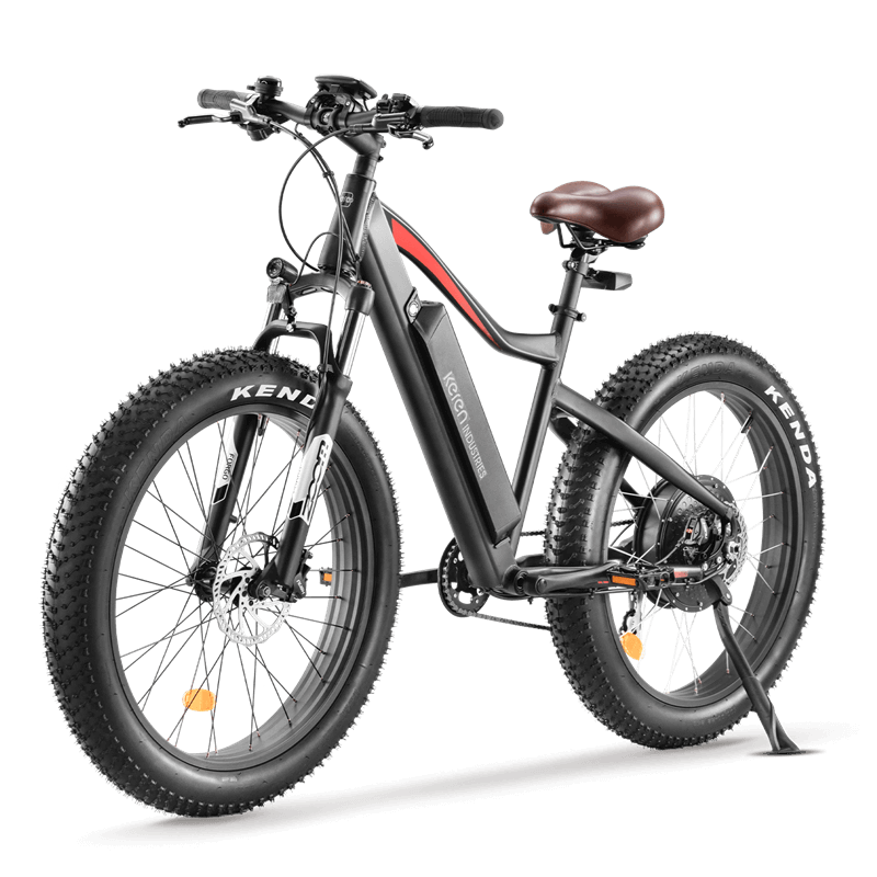 Fat tyre sales electric mountain bike