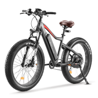 26 inch 5-speed electric assisted modes fat tire ebike